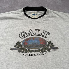 Vintage 80s Galt California Shirt Mens X Ringer Globe Tourist Mountain
