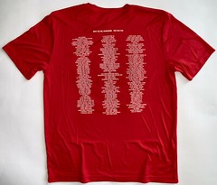 Men’s Red Medium Exercise Fitness Casual T-Shirt Fastpitch Softball 2019 New