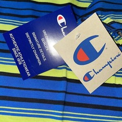 Champion Classic Tailored Stripe Short Sleeve T-Shirt Blue Green Black Men’s NWT