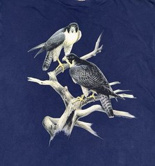 Vintage Roger Tory Peterson Bird T Shirt XL Blue Fruit Of The Loom Heavy Hawk