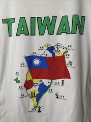 Vintage Taiwan Island Shirt Mens Sz L Tourist Travel Art Tee 80s