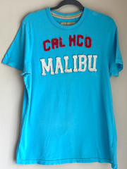 Y2K Hollister HCO Malibu Blue Tee Shirt Adult Size XL Distressed Standout Logo