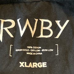 RWBY ROOSTER TEETH YANG LONG SLEEVE T SHIRT SIZE XL READ