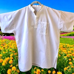 Pullover Casual Shirt Banded Collar V-Neck Egypt Symbols on Pocket Mens 54″ 3X
