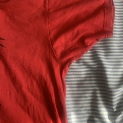 RARE ‘I Climbed The Great Wall’ Size XXL. Size Marked Cotton. Red Non Smoker !!
