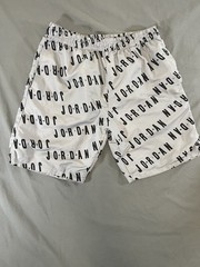 Air Jordan Nike Mens Shorts Gray Black Mesh Lined Sz LG