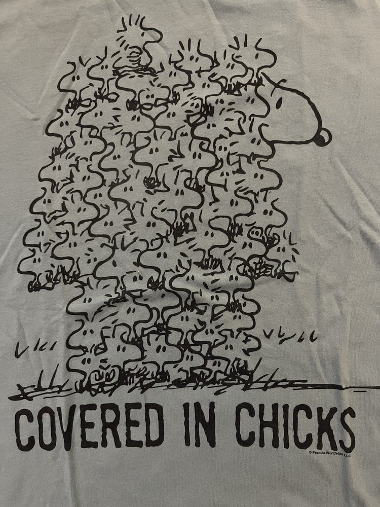 Peanuts Covered In Chicks T-Shirt Snoopy Woodstock Medium M Blue Junk Food