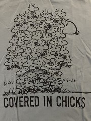 Peanuts Covered In Chicks T-Shirt Snoopy Woodstock Medium M Blue Junk Food