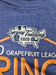 Fanatics T Shirt NY Yankees Men Blue L Grapefruit League Spring Training 2020