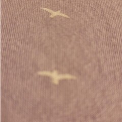 Denim & Flower Seagull Print T-Shirt Sz M Lavender Pastel Bird Dadcore Hipster