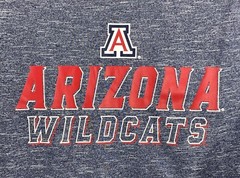 Arizona Wildcats Men’s T-Shirt Champion Elite Logo, Gray, Medium, Stretch Sports