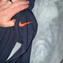 Nike Chicago Bears Long Sleeve Shirt Men’s L/XL NFL 1920 Navy Crewneck