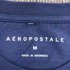 Aeropostale Shirt Mens Medium Blue East Coast 2 In 1 Long Sleeve Tee Tagless