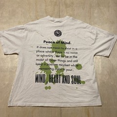 AUTHENTIC Evolve The Label “Big Three” Soul Heart Mind Tee – FIRST EXCLUSIVE