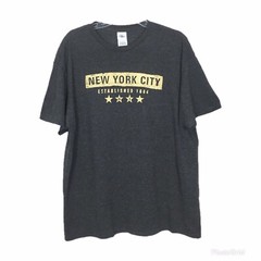 Delta Pro Weight Graphic T-Shirt Mens XL New York City Gray Crew Neck