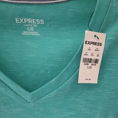 Express Men’s Solid Green V-Neck Short Sleeve T-Shirt Tee Size L/G Regular
