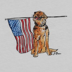 New JCREW Size Mens M Vintage-Wash Cotton Graphic T-shirt Golden Retriever $45