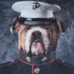 The Mountain Marine Dog Short Sleeve T-Shirt Men’s Size XL Gray Black Tie Dye