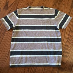 Patagonia Men’s Large Striped Pocket T-Shirt Blue Green Gray Organic Cotton