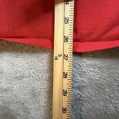 Champion Men’s L Red T Shirt SEE DESCRIPTION