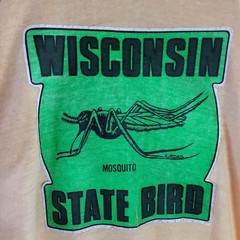 70s Russell Athletic Wisconsin Mosquito State Bird Ringer T-Shirt L Yellow