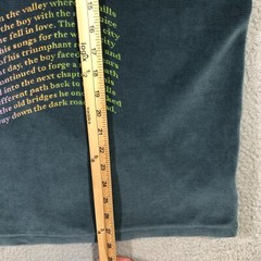new balance corduroy T shirt mens L teal blue transitions its ok
