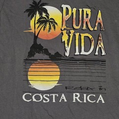 Costa Rica Pura Vida Graphic T Shirt Men L Gray