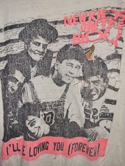 Thrashed Vintage New Kids On The Block Shirt 90s M Fruit Of The Loom