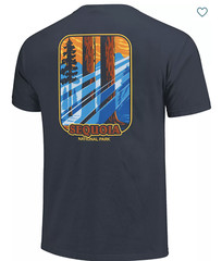 Comfort Colors Men’s Sequoia National Park T-shirt M Sun Beams Denim Graphic Tee