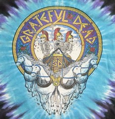Vintage Grateful Dead June 91 Liquid Blue Tie Dye Band T Shirt Large USA