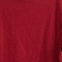 Vintage Ivy Crew Red Embroidered Crest T-Shirt Size XL
