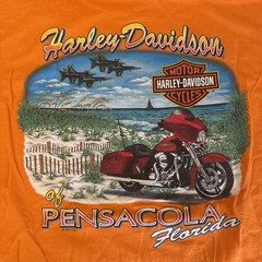 2018 Harley Davidson Wasilla Pensacola Florida Graphic Print XL T-Shirt FreeShip