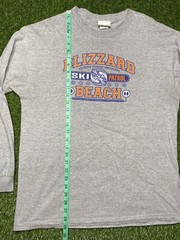 Disney Blizzard Beach L/S Shirt Men’s Resort Waterpark Size L Gray Walt World