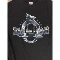 Vintage Great Wolf Lodge T Shirt Gildan Black Graphic Tee Souvenir Vacation M