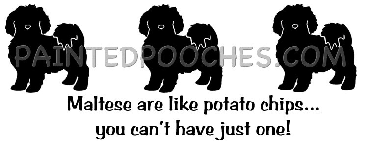 Maltese Maltipoo Dog Potato Chips, you can’t have just one! T-shirt or Pillow(S)