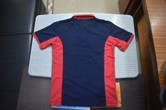cotton polyster T-shirt for menz