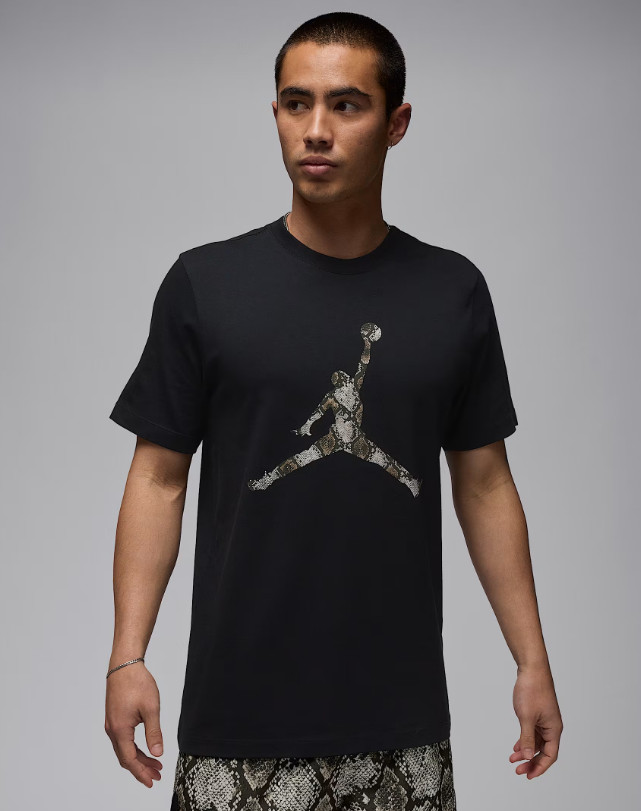 Nike Jordan Sport Mens Dri-Fit T-Shirt Black Multi Size Casual Sportswear Tee