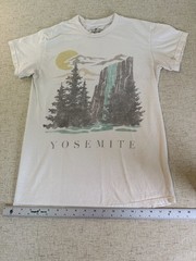 PacSun Yosemite National Park Waterfall Graphic T-Shirt