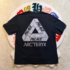 Arcteryx Palace T-Shirt Mens XL Black Tri-Ferg Logo Gorpcore Streetwear Tee