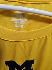 Classic University of MICHIGAN Letter Logo 2XL T-Shirt Colosseum Go BLUE