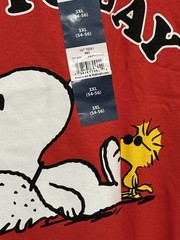 Peanuts Snoopy & Woodstock “Not Today” Red Graphic Crew Neck T-Shirt Men 3XL
