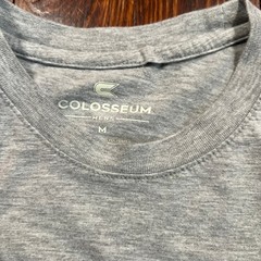 Colosseum M College Graphic T-Shirt Gray Regular