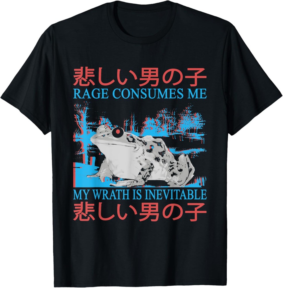 Rage Consumes Me Vintage Horror Japanese Frog Meme T-Shirt Gift for Dad, Mom