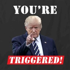 YOU’RE TRIGGERED TRUMP TShirt Tee Short-Sleeved Cotton CLOTHING S1BCA623