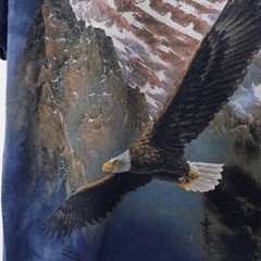 Vintage The Mountain Shirt Medium Blue Tie Dye Mountains Eagle Animals Nature