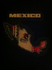 Mexico Flag Sound Activated Lights Up LED Light EL T-Shirt S/L/L/XL/XXL