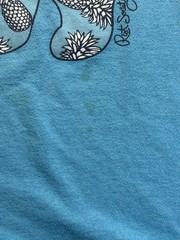 Riot Society Pineapple Bear T-Shirt Teal Blue Graphic Tee Mens Large