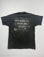 Vintage Fruit Of The Loom Shirt Mens Large Black Endo Evolve Tour 2001 Band Tee