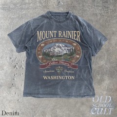 Vintage Mount Rainier Washington Graphic Comfort Tee