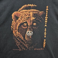 Vintage California State Parks Shirt Large Black 1998 Grizzly Bear Nature 90s